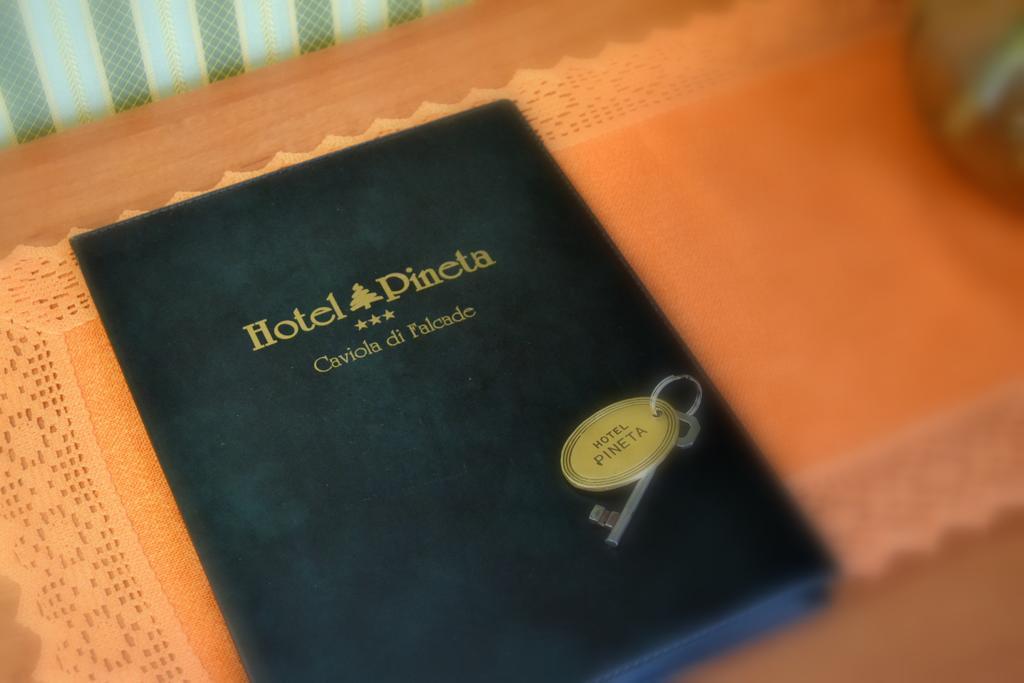 Hotel Pineta Falcade Rum bild